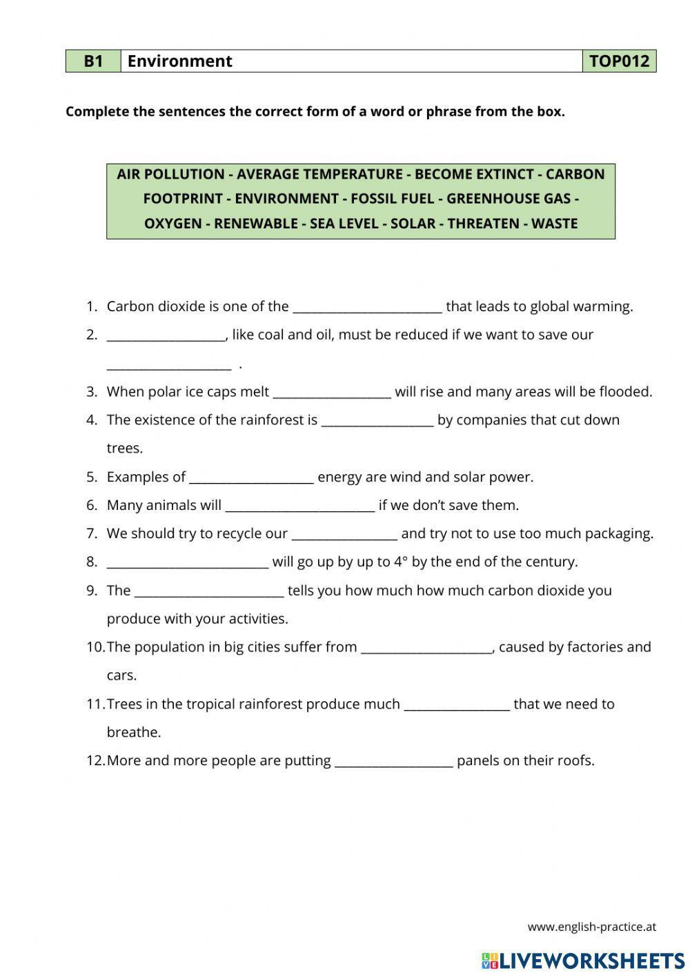 B1. Vocab. Environment