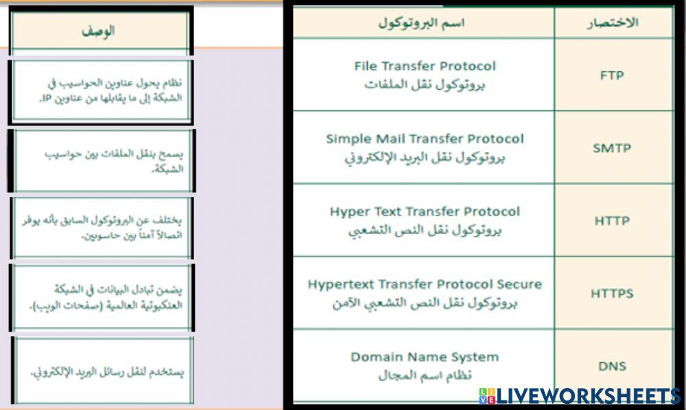 امثلة البروتوكول