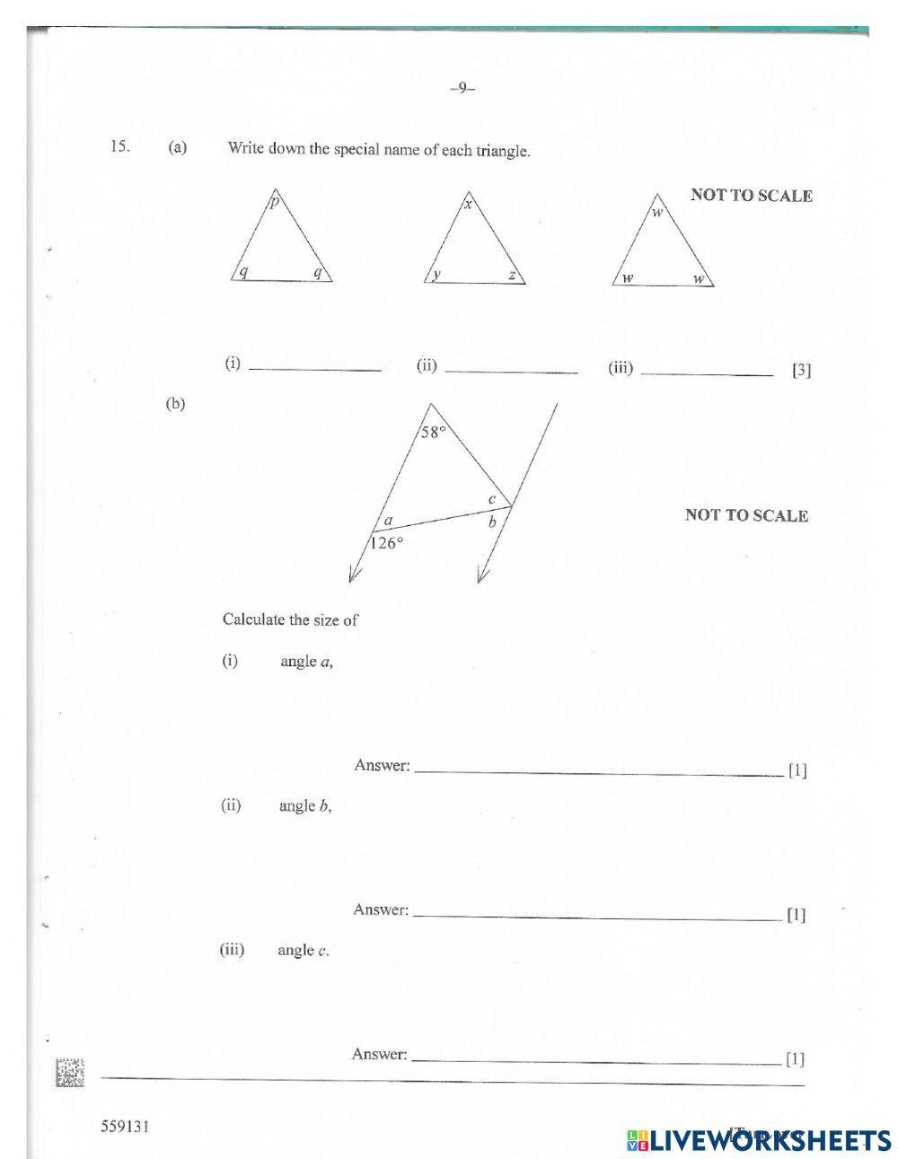 2019 BGCSE Mathematics Paper 1 pt 1