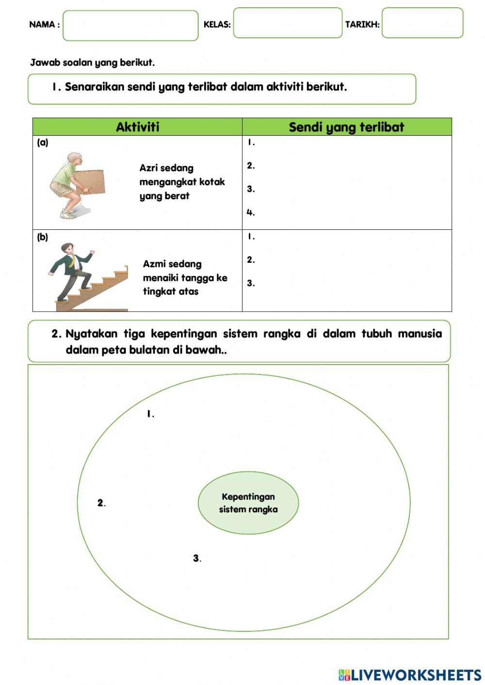 Fungsi sendi dan kepenyingan sistem rangka