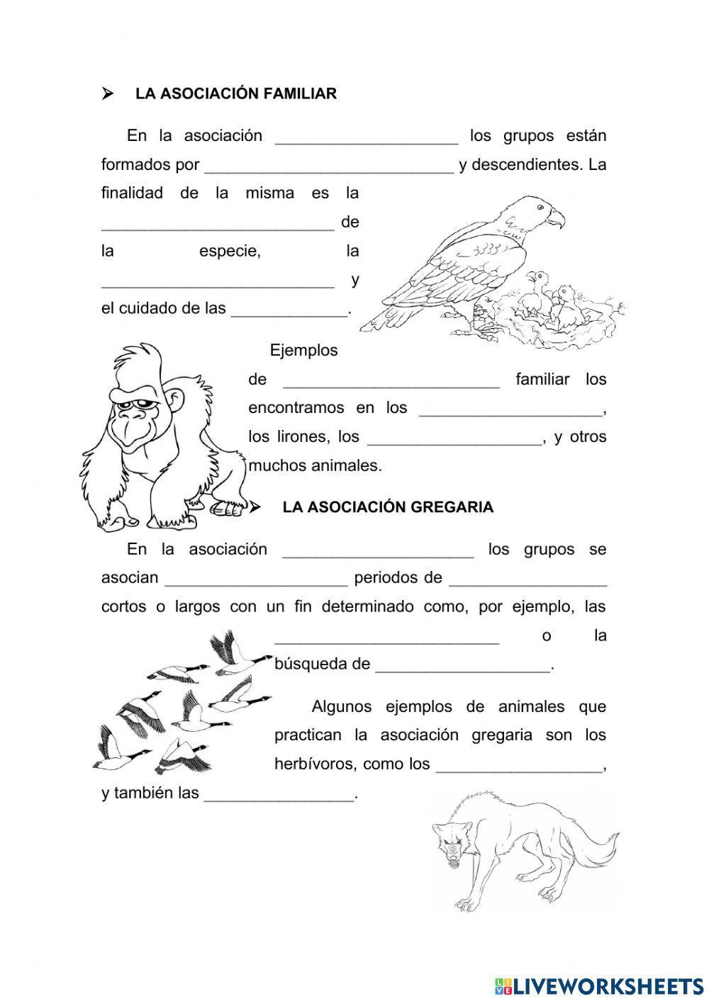 Las relaciones entre los seres vivos de una misma especie.