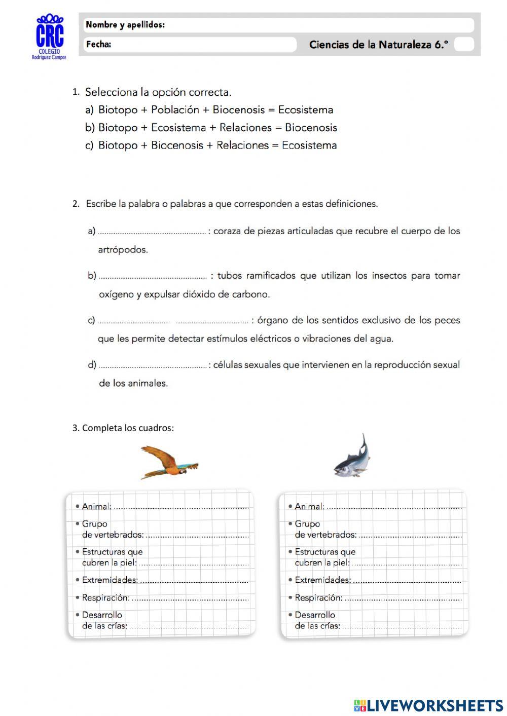 Unidad 2.2-Naturales 6º