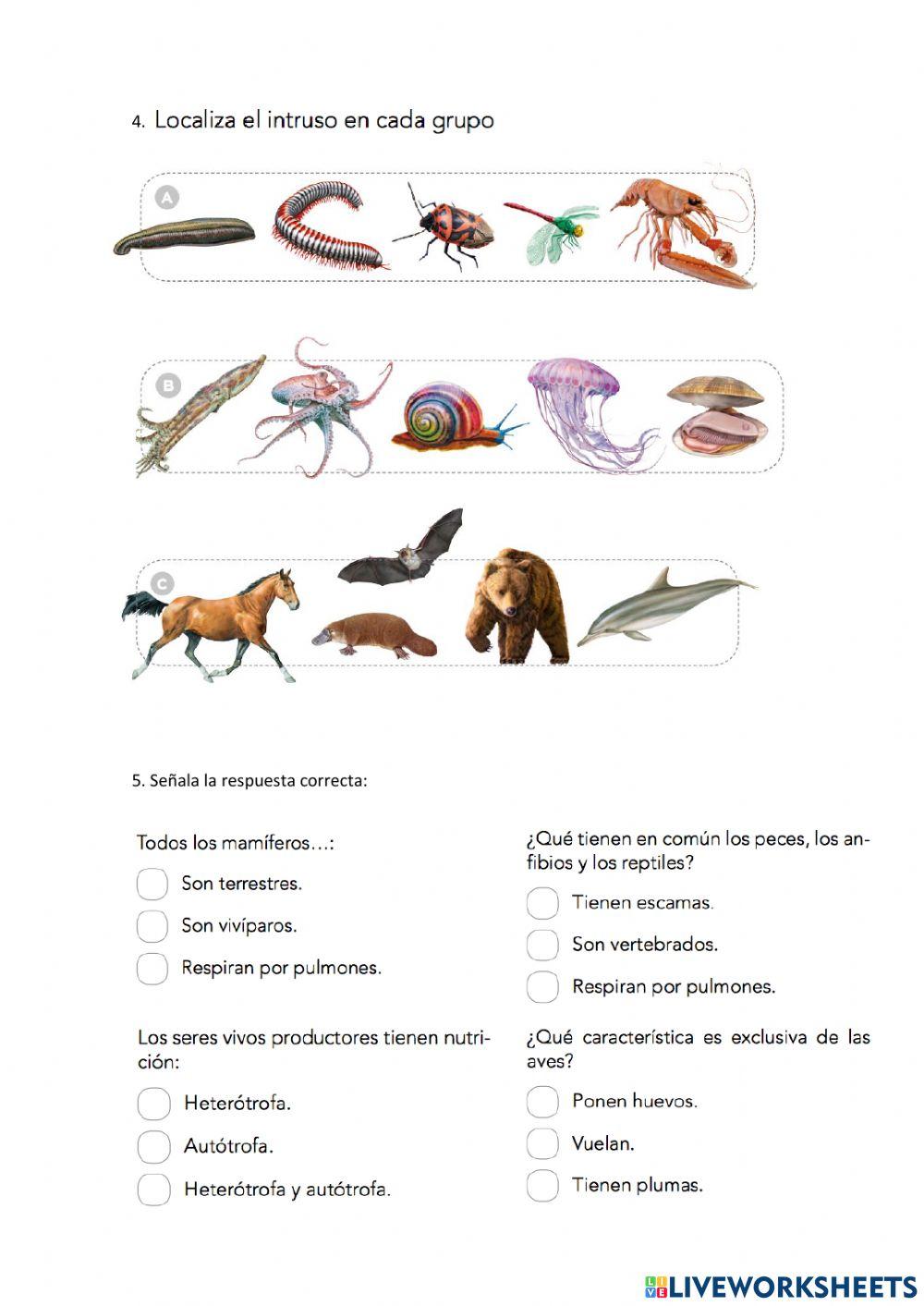 Unidad 2.2-Naturales 6º