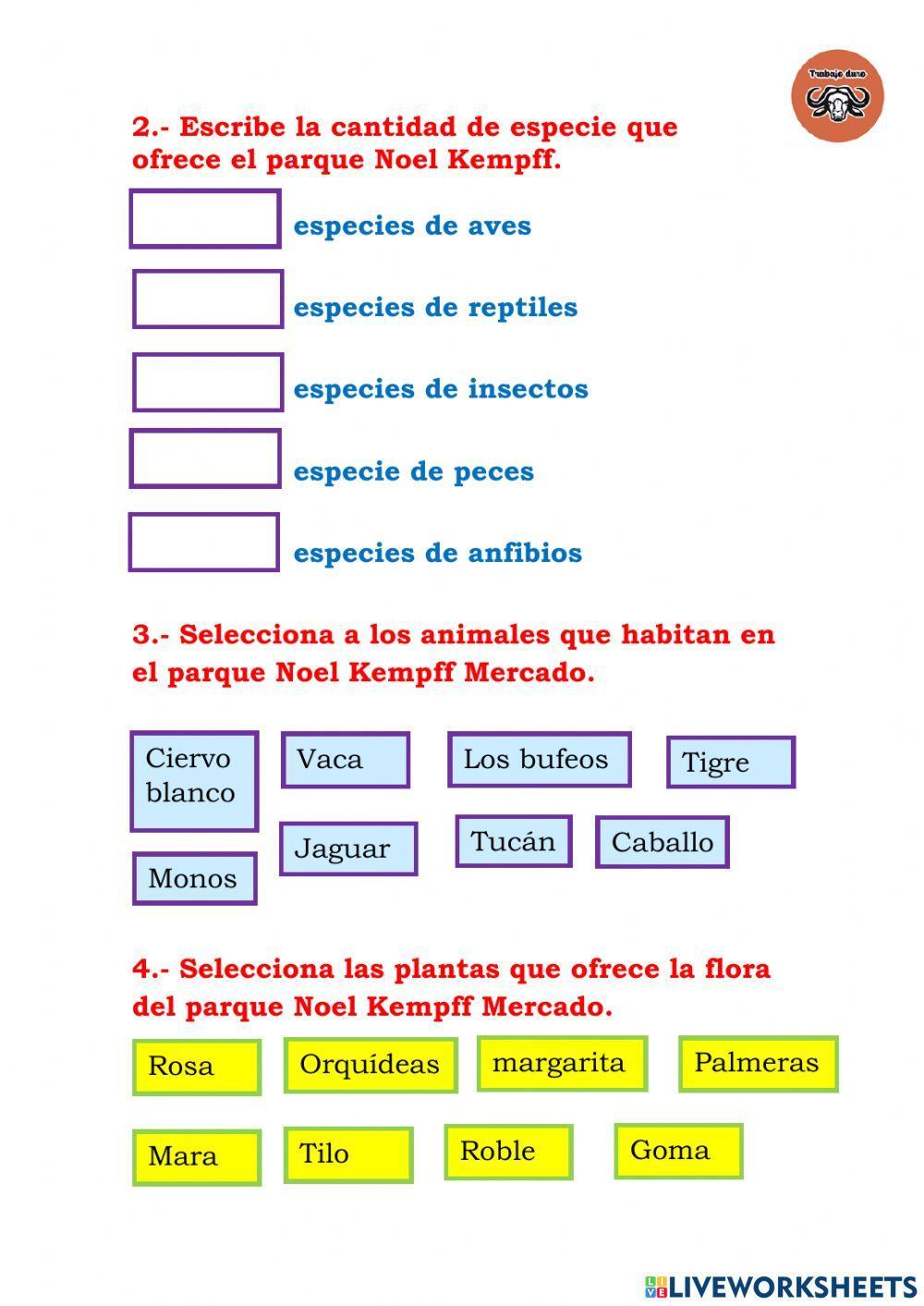 Comprension lectora ii