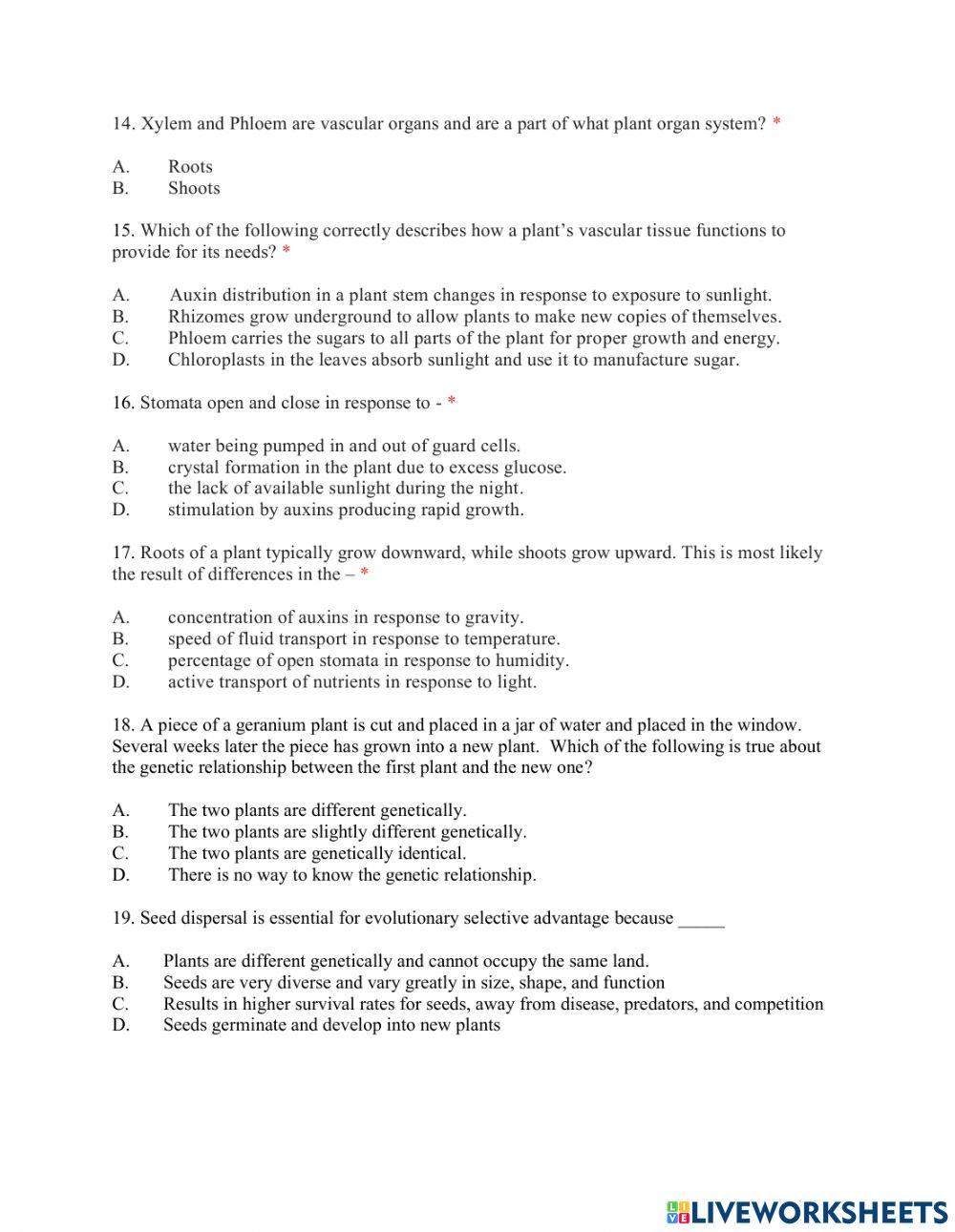 Plant System Review worksheet | Live Worksheets