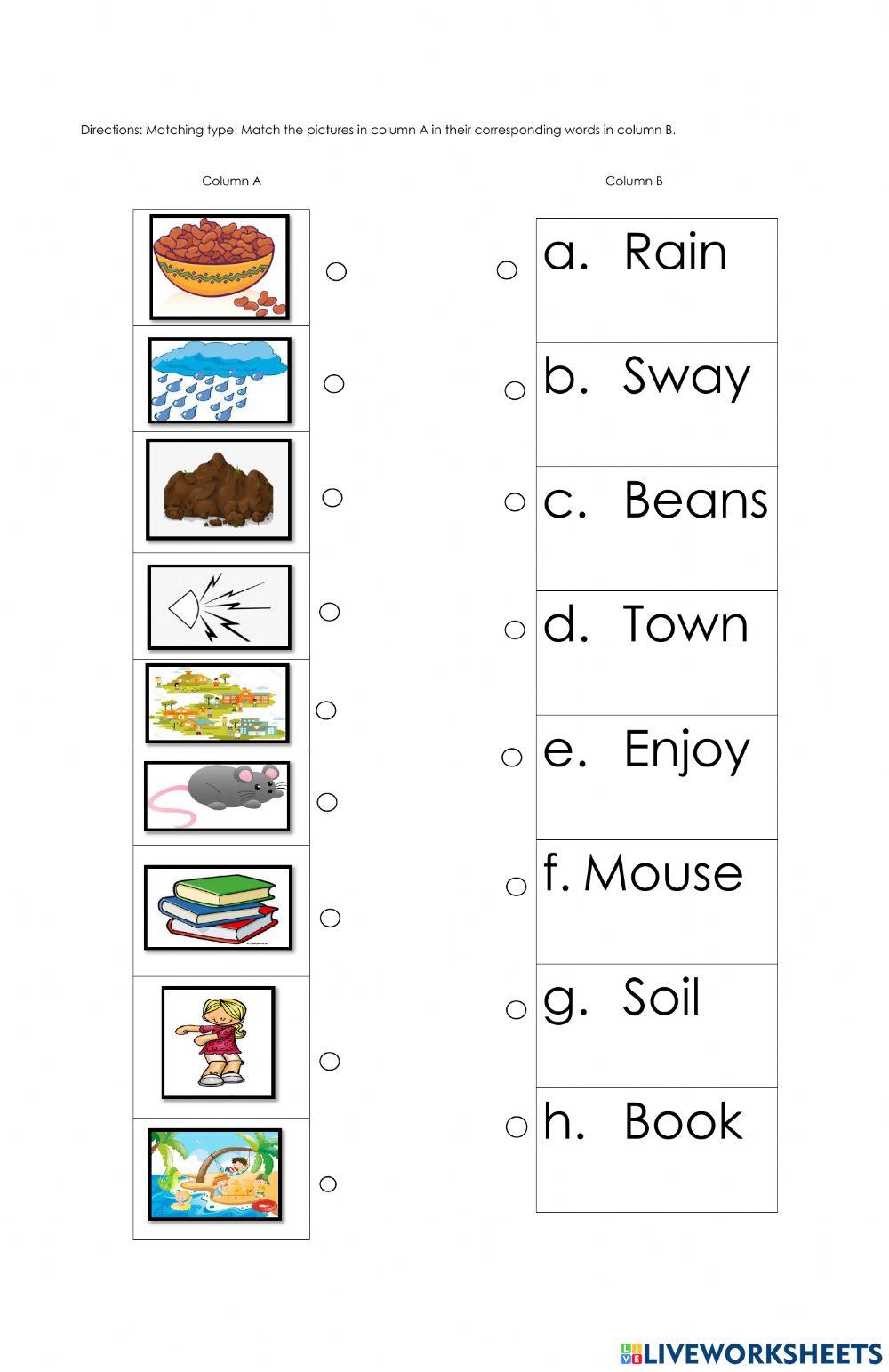 Vowel Digraphs and Diphthongs