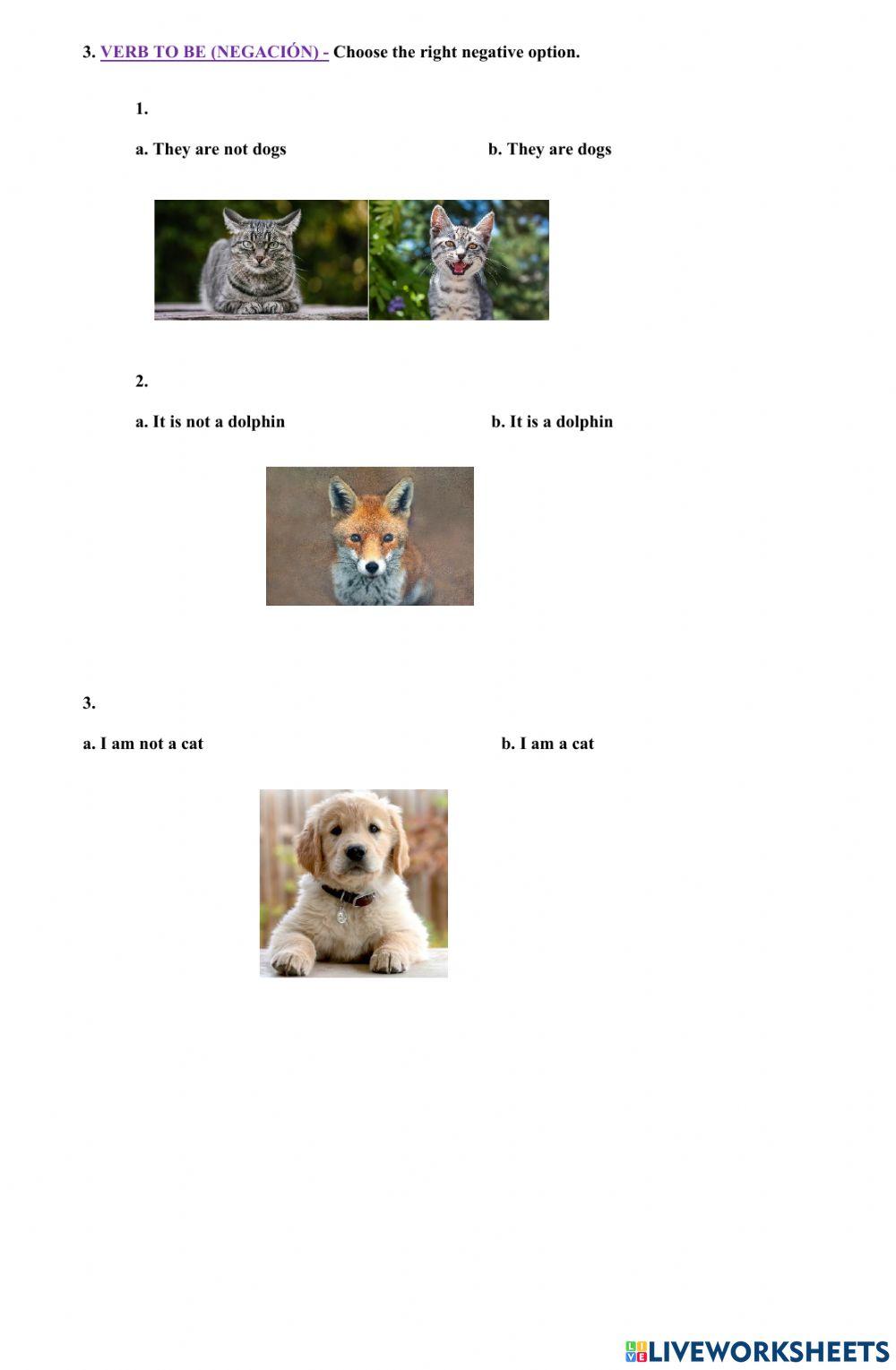 Test Inglés segundo