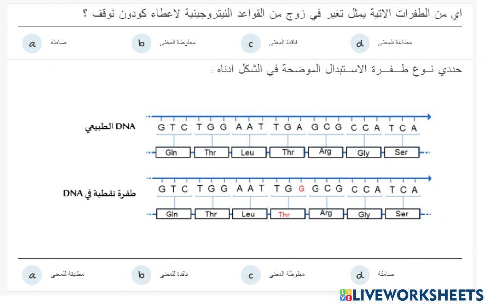 التباين من خلال طفرات dna