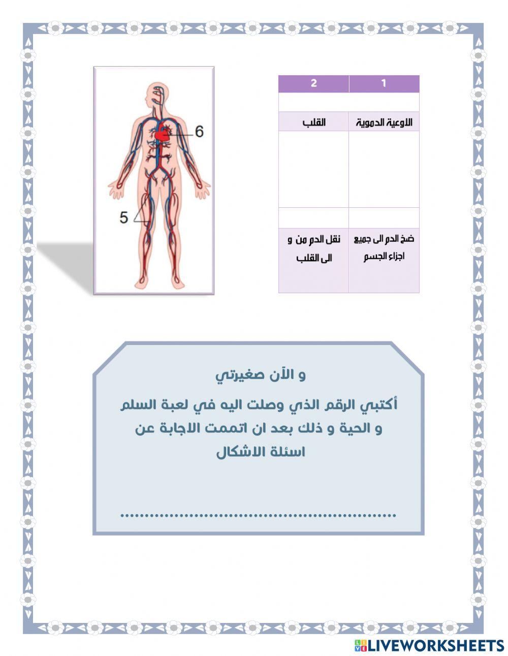 جسور التعلم - النشاط ( 5 )