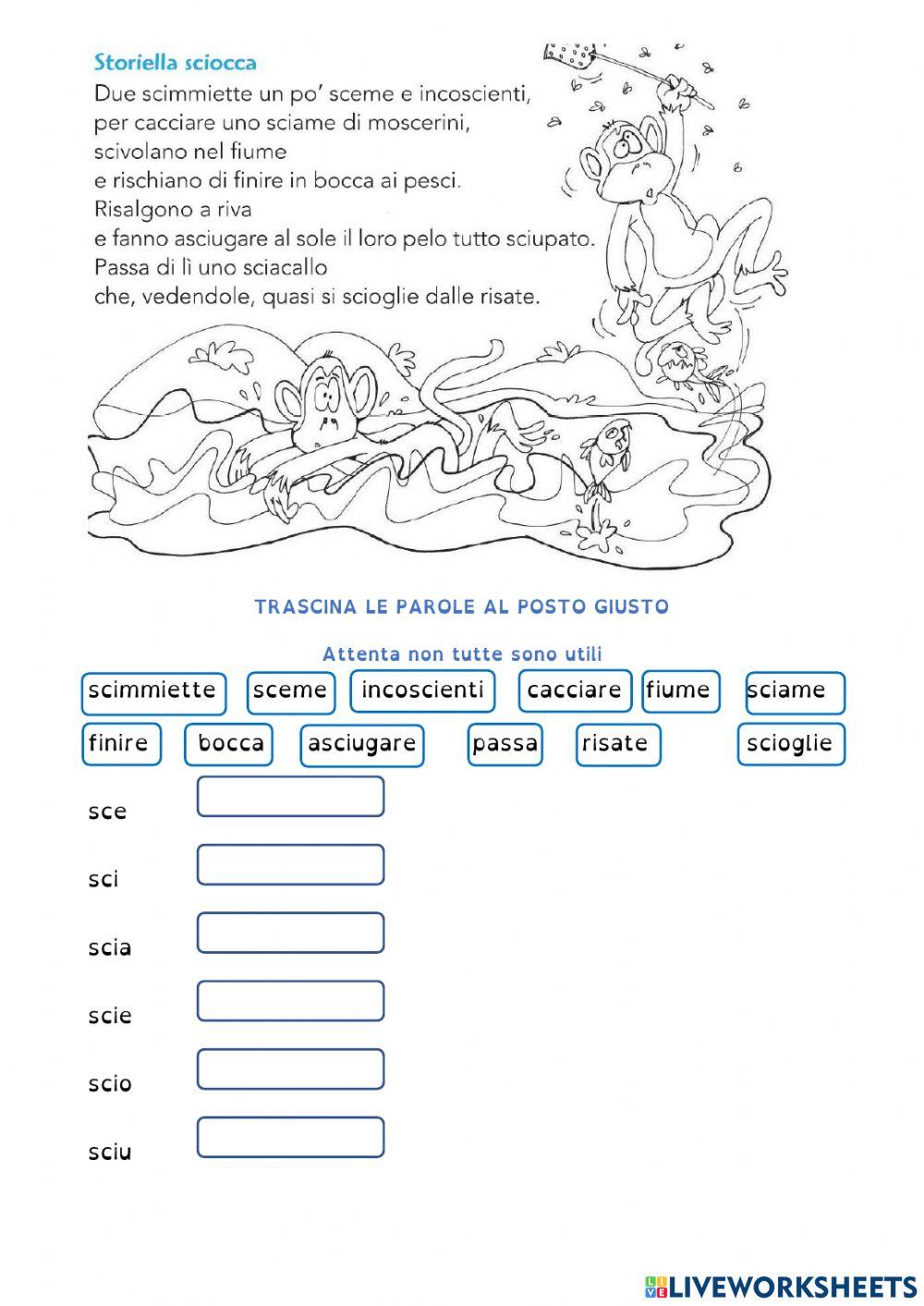 storiella sciocca storiella sciocca