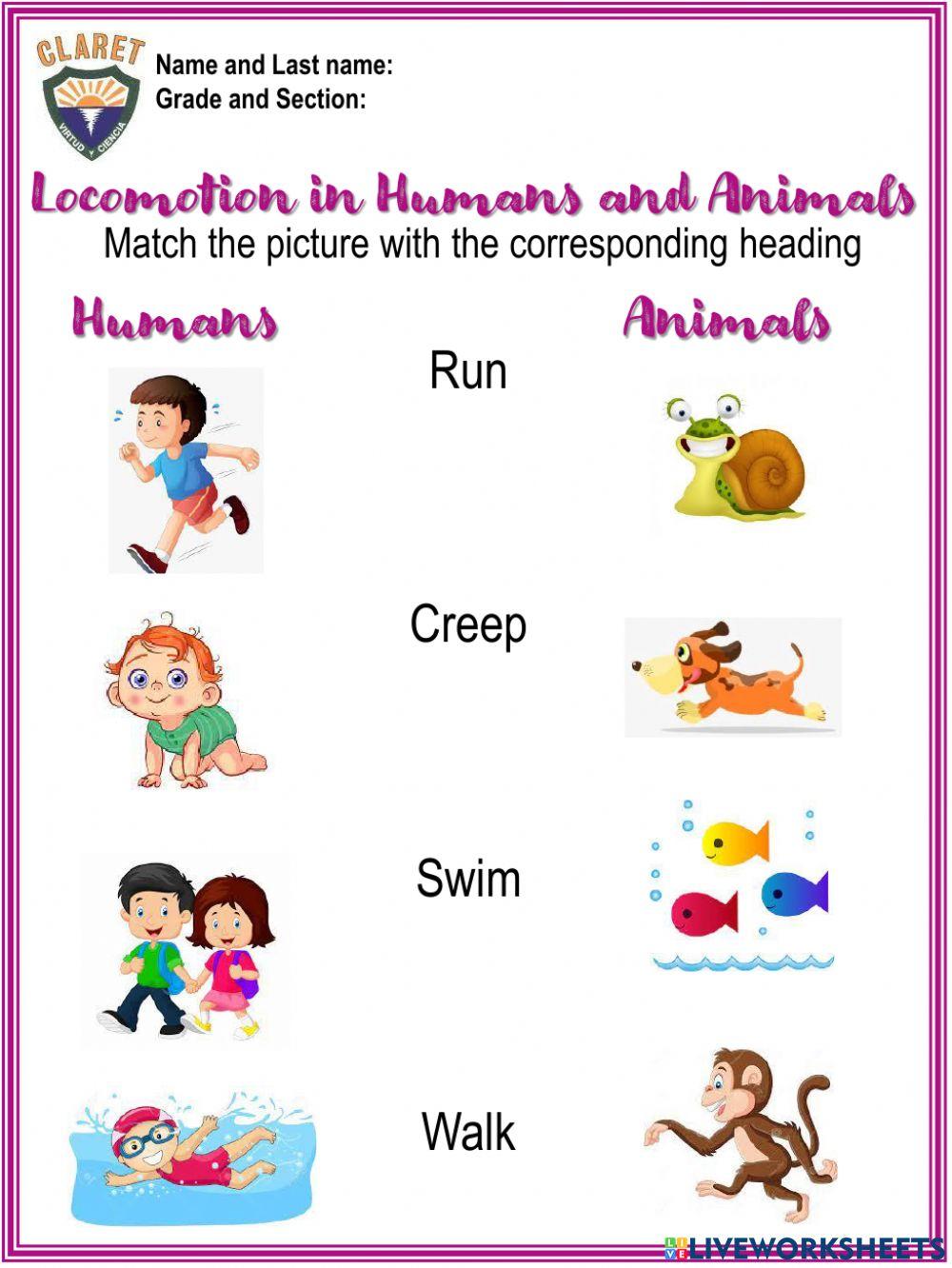 3rd-grade-project-week-4-worksheet-live-worksheets