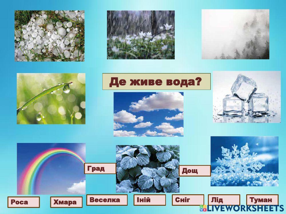 Інтерактивна вправа. Де живе вода?