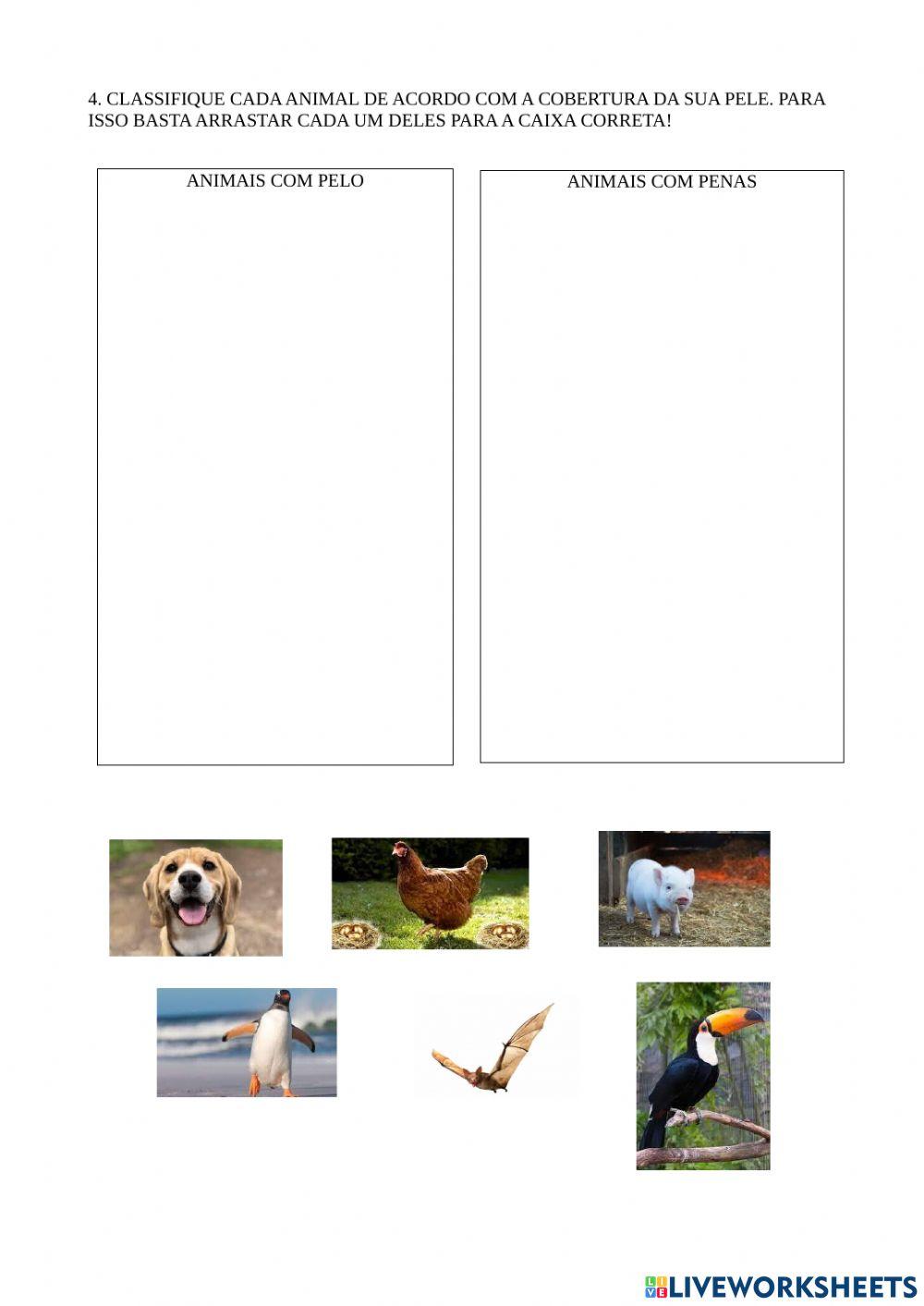 Classificação Animal