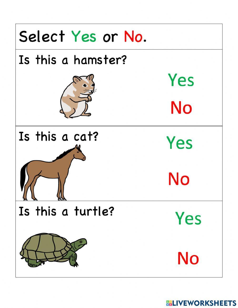 Pets - Select Yes or No for each picture.