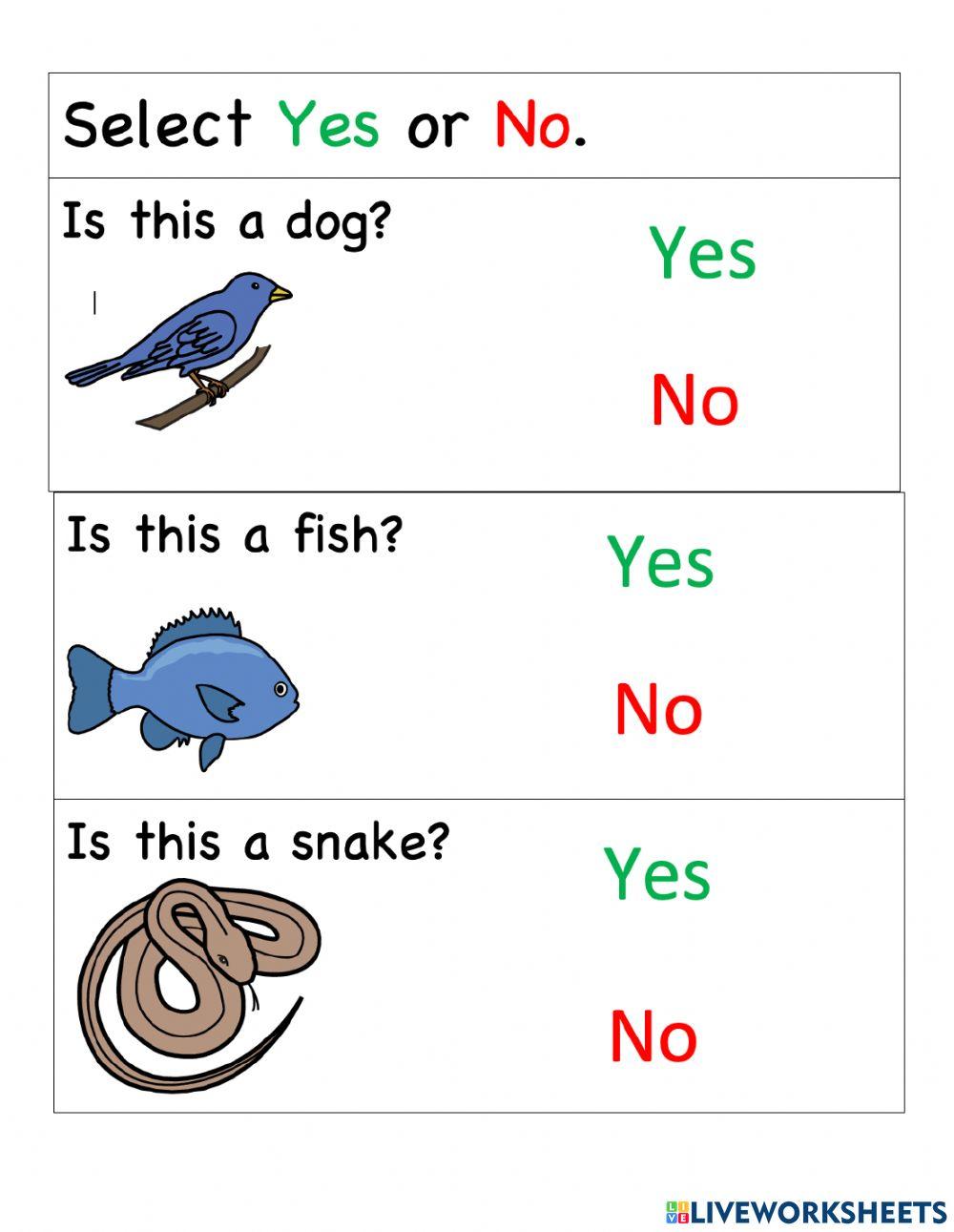 Pets - Select Yes or No for each picture. 2