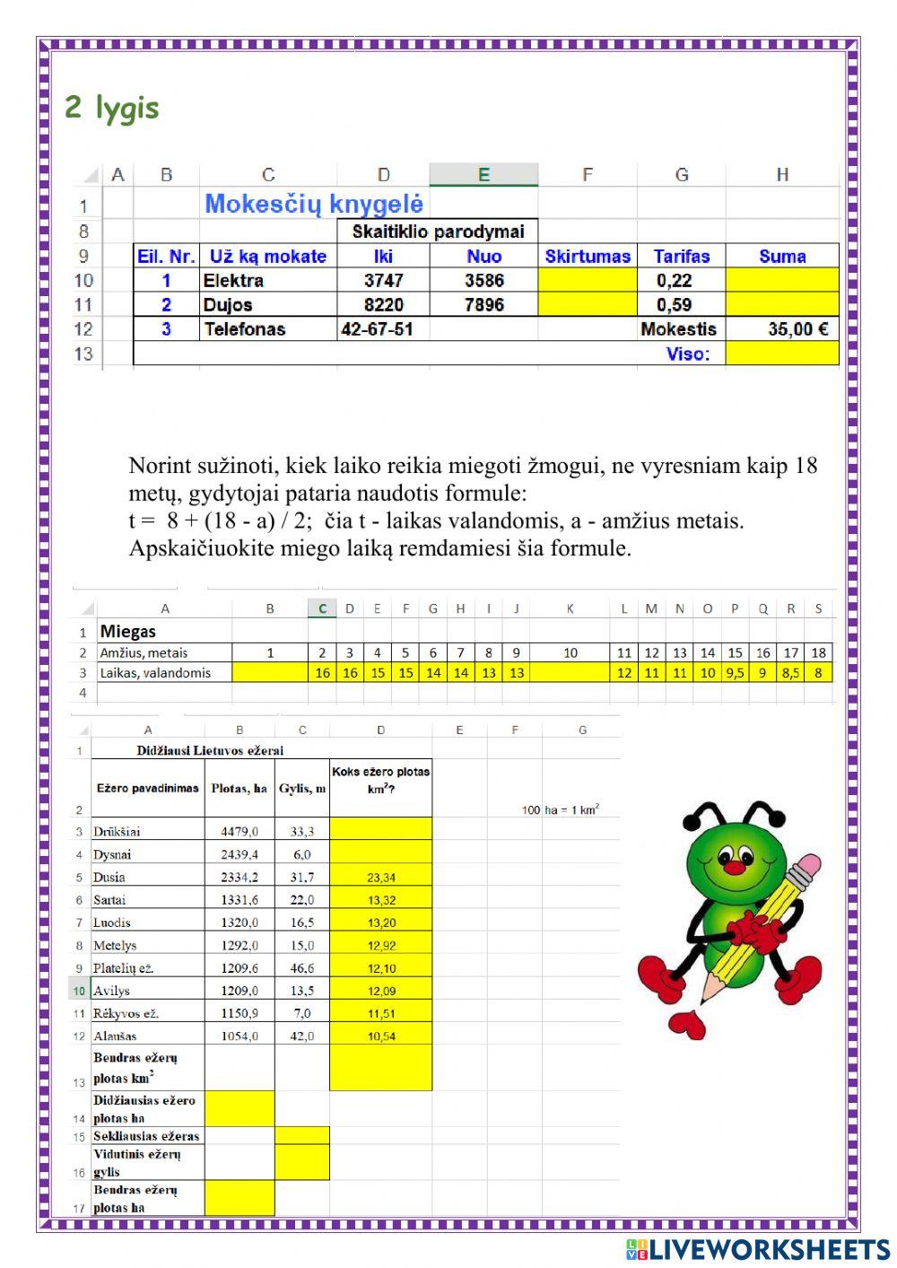 Excel formulių rašymas ir parinkimas