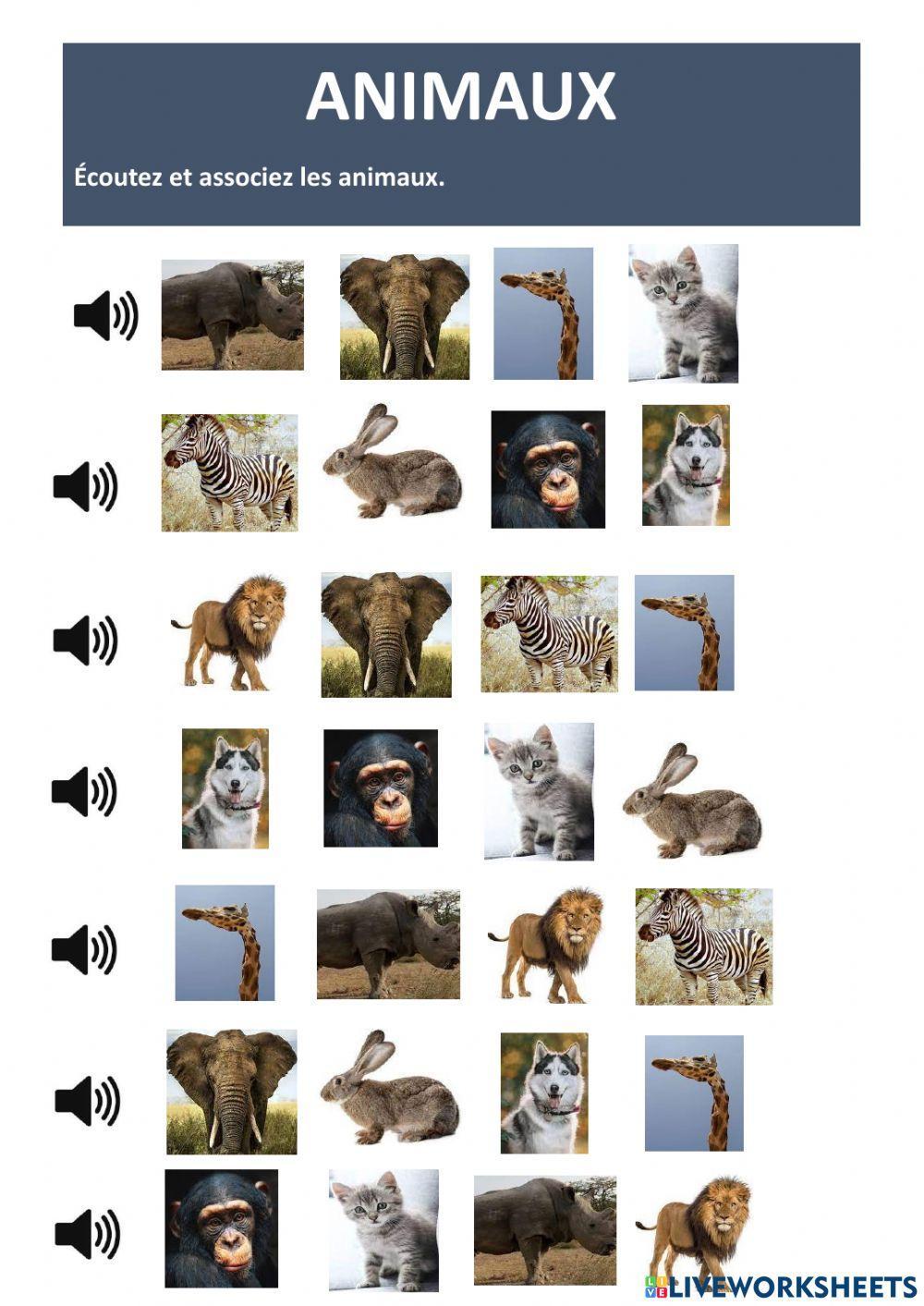 Animaux Animaux