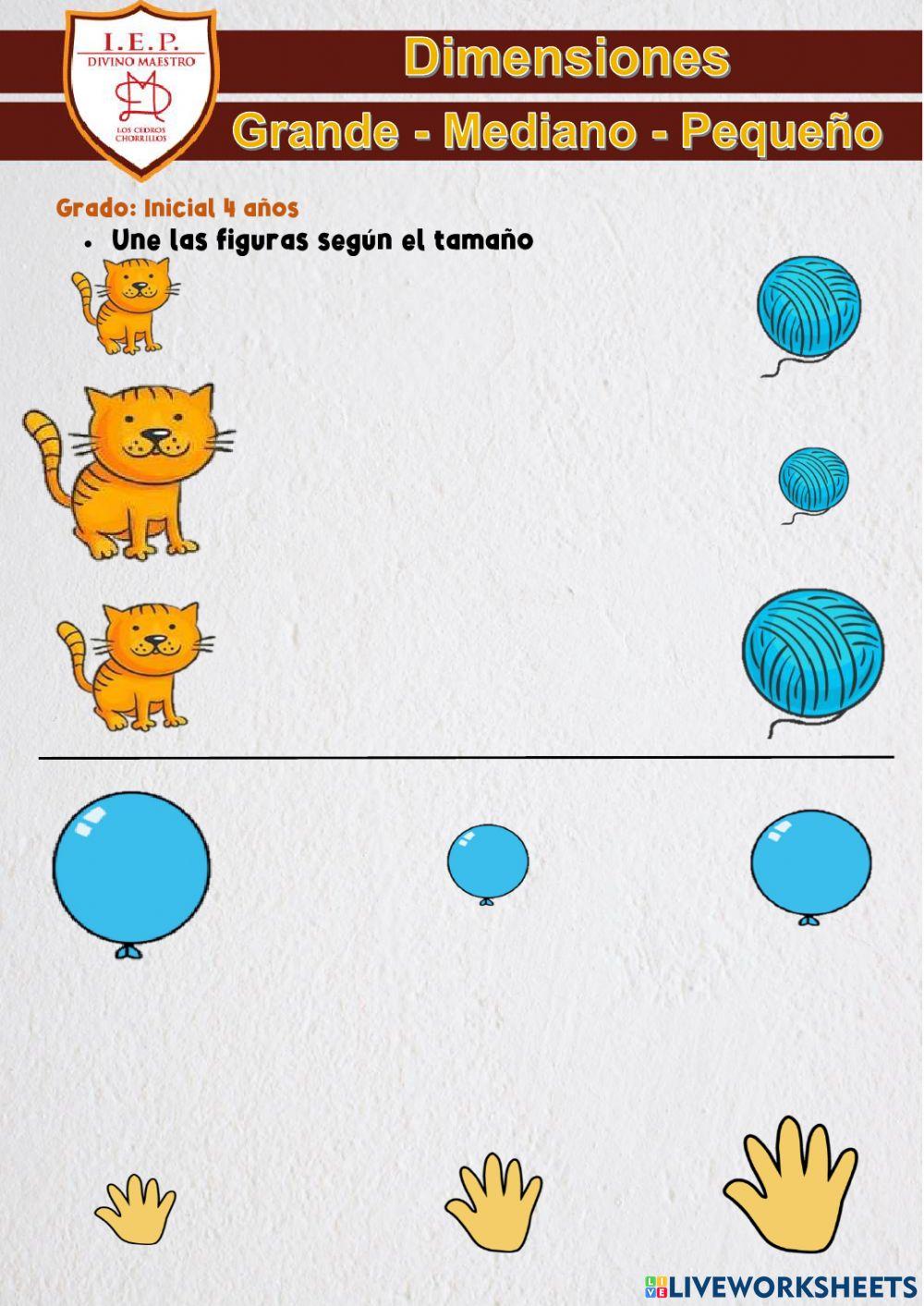 Grande mediano pequeño