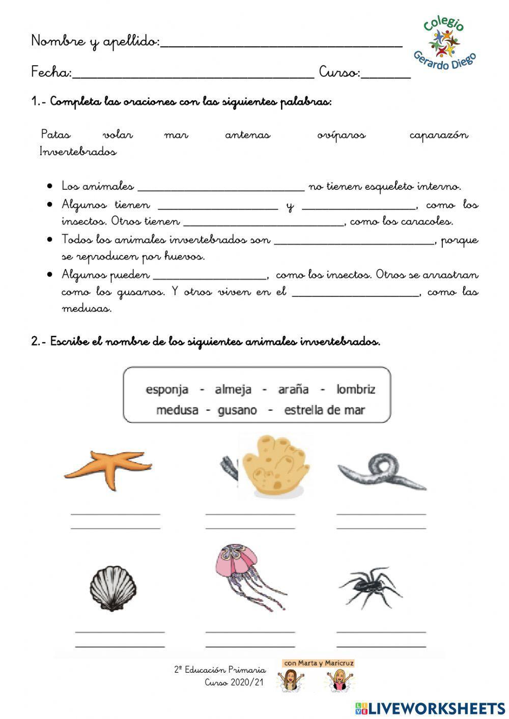 Los animales invertebrados