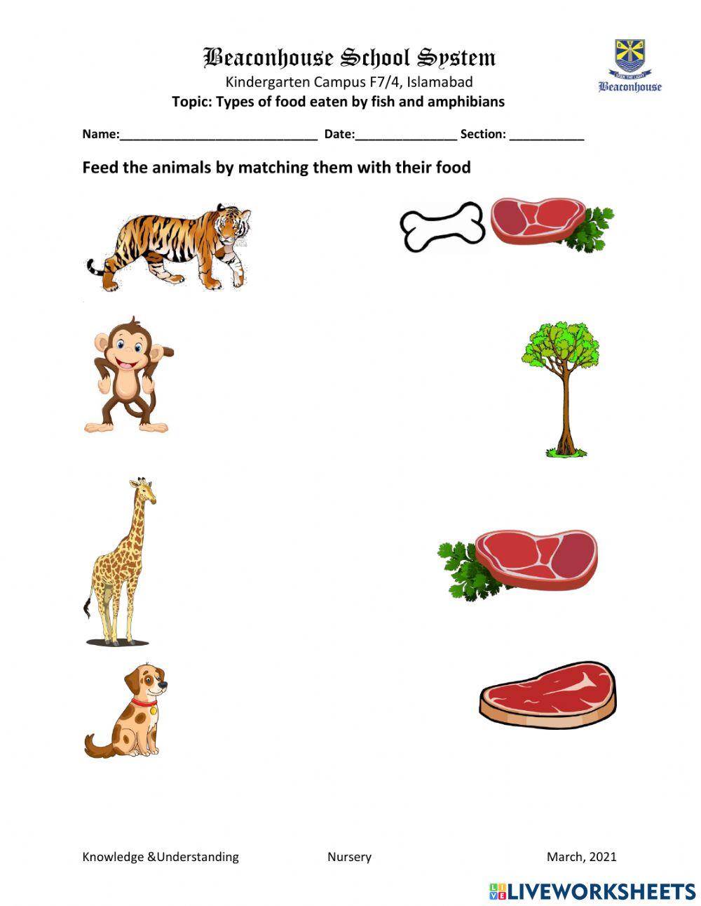 Type of food eaten by Mammals