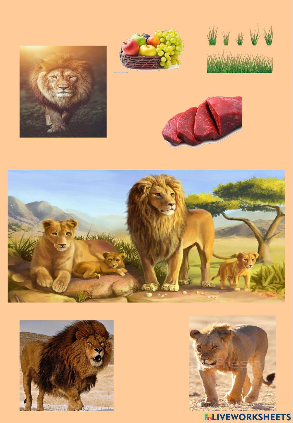 Cunostinte despre om si mediu