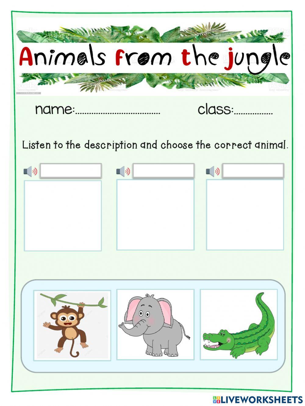 Animals from the jungle