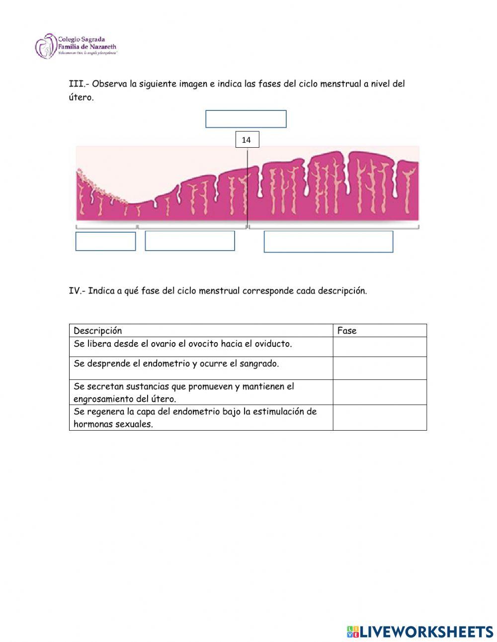 Sistemas reproductores