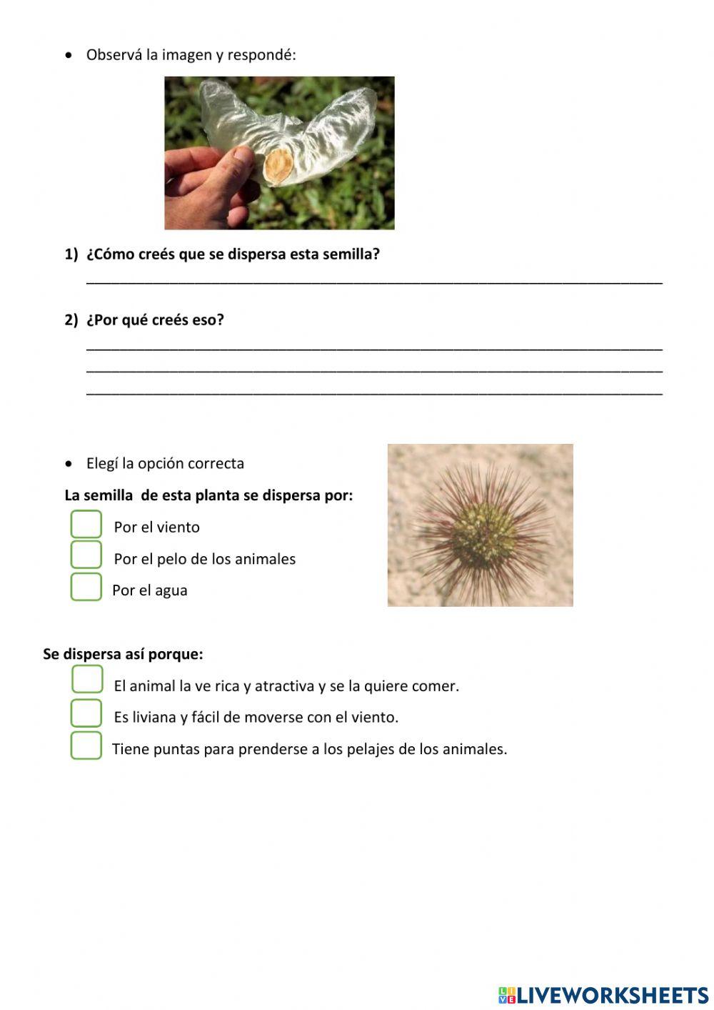 Los 10 animales más fascinantes que se encuentran en los ecosistemas  tropicales - Sigma Earth, image size:1000x1413