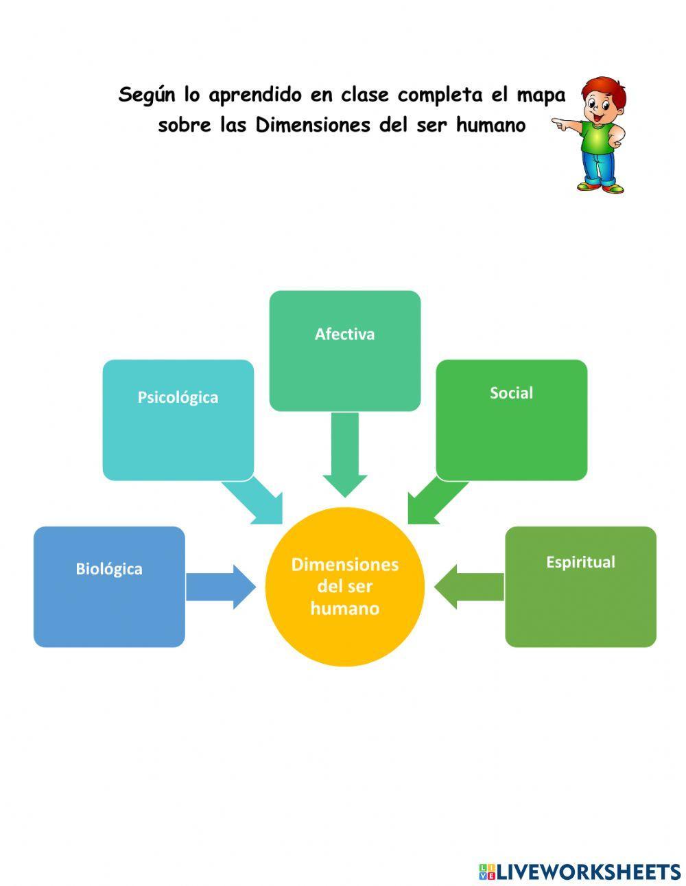 Dimensiones del ser humano