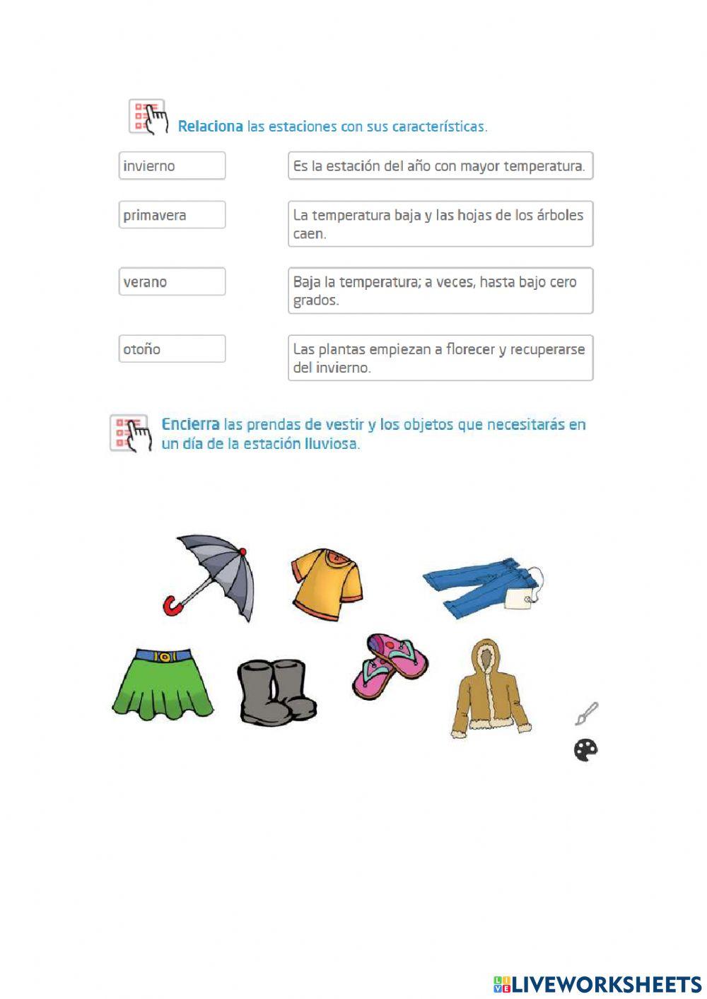 Esttaciones del año