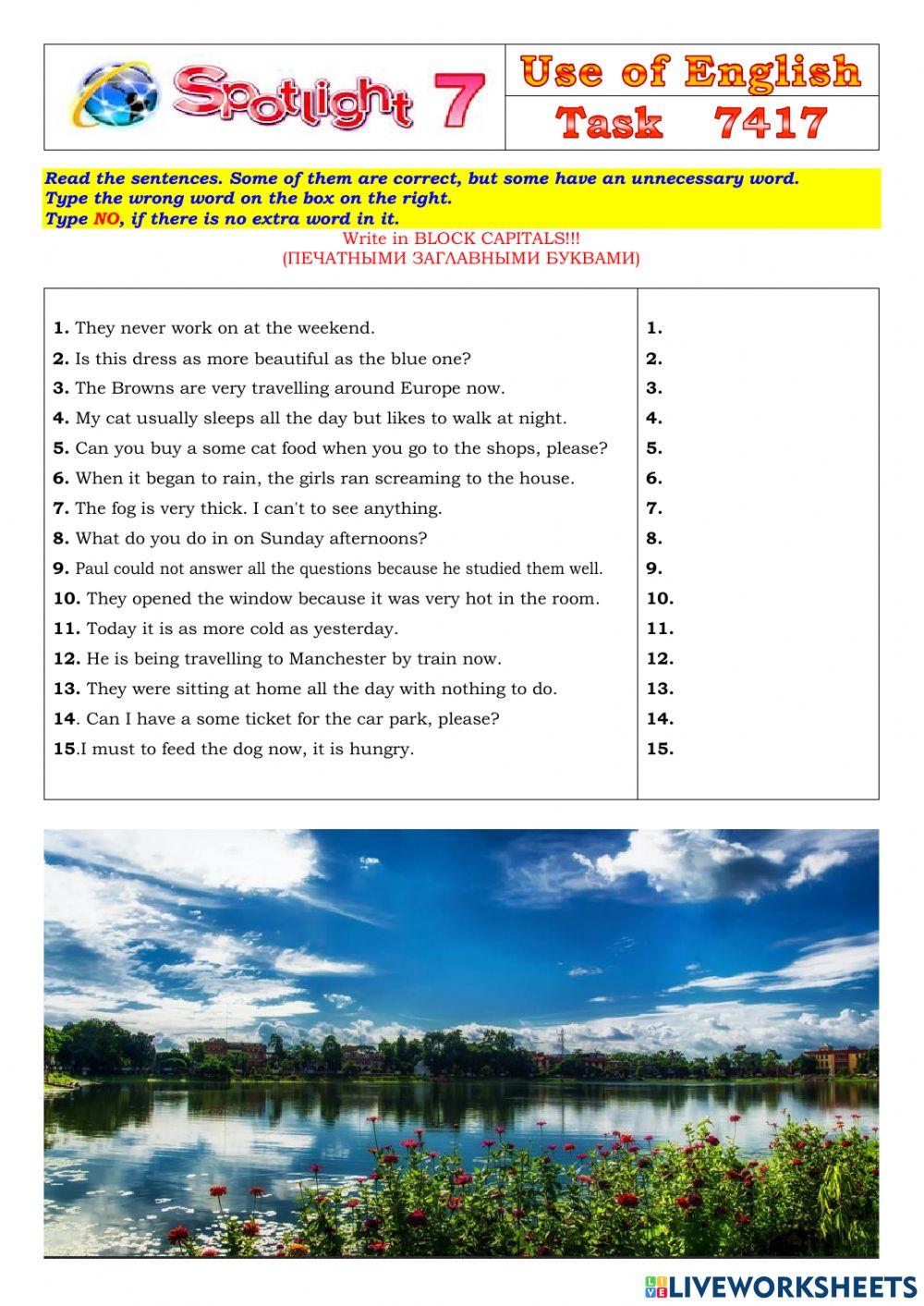 Spotlight 7 Task 7417