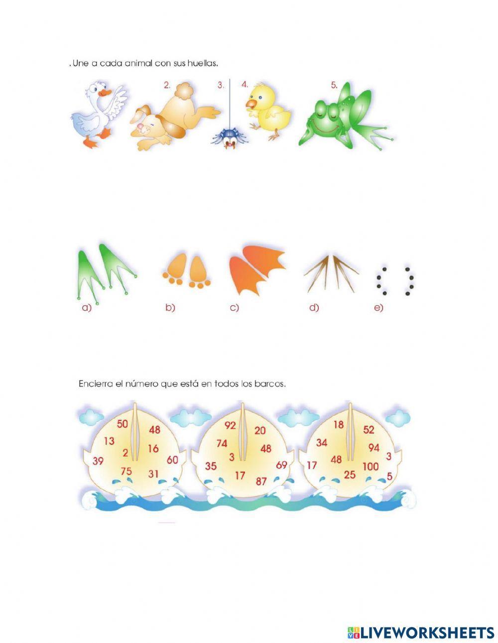 Desarrollo del pensamiento