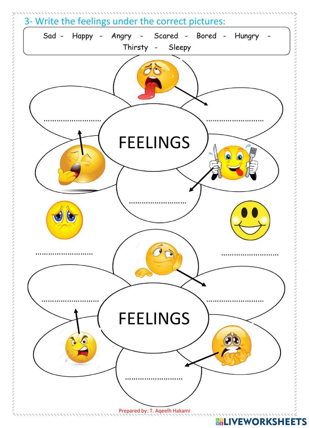 General Summary on feelings and things