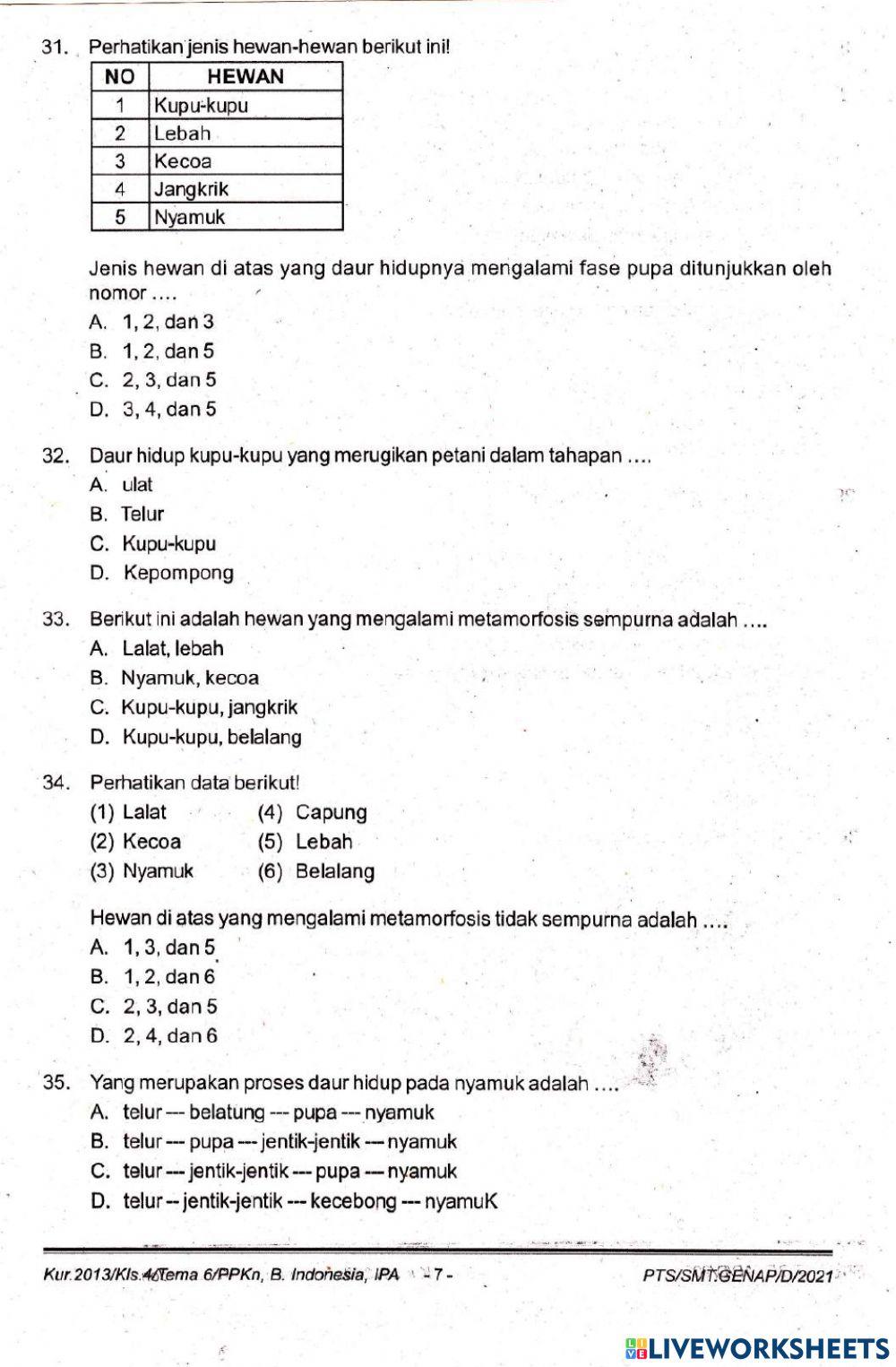 Kelas 4 pts semester 2 tema 6 ipa