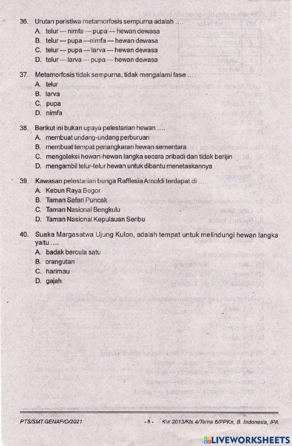 Kelas 4 pts semester 2 tema 6 ipa