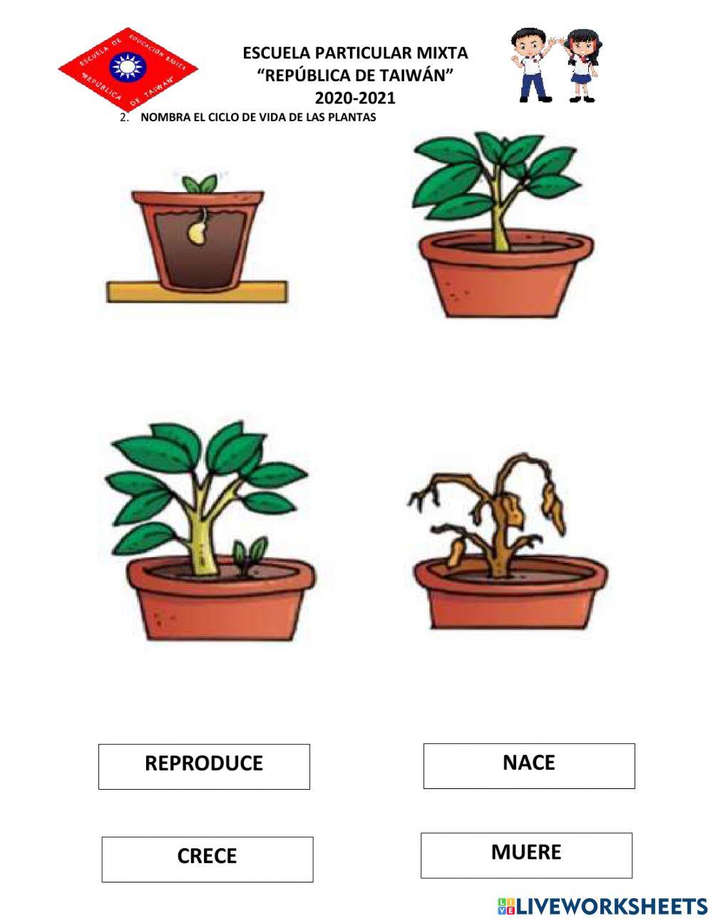 Examen medio natural y cultural