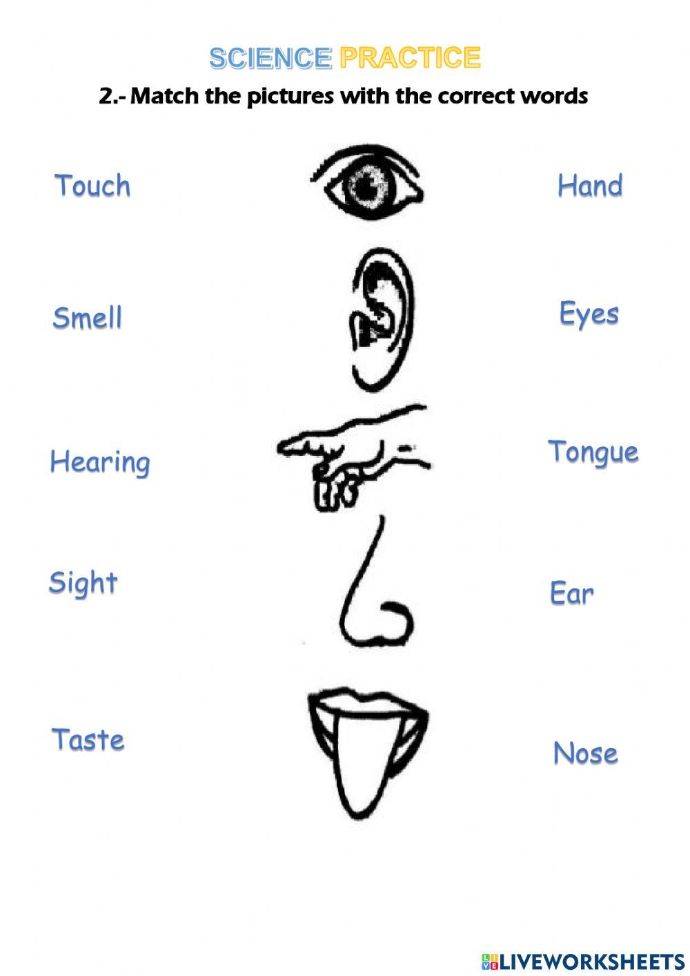 The Practice Online Free