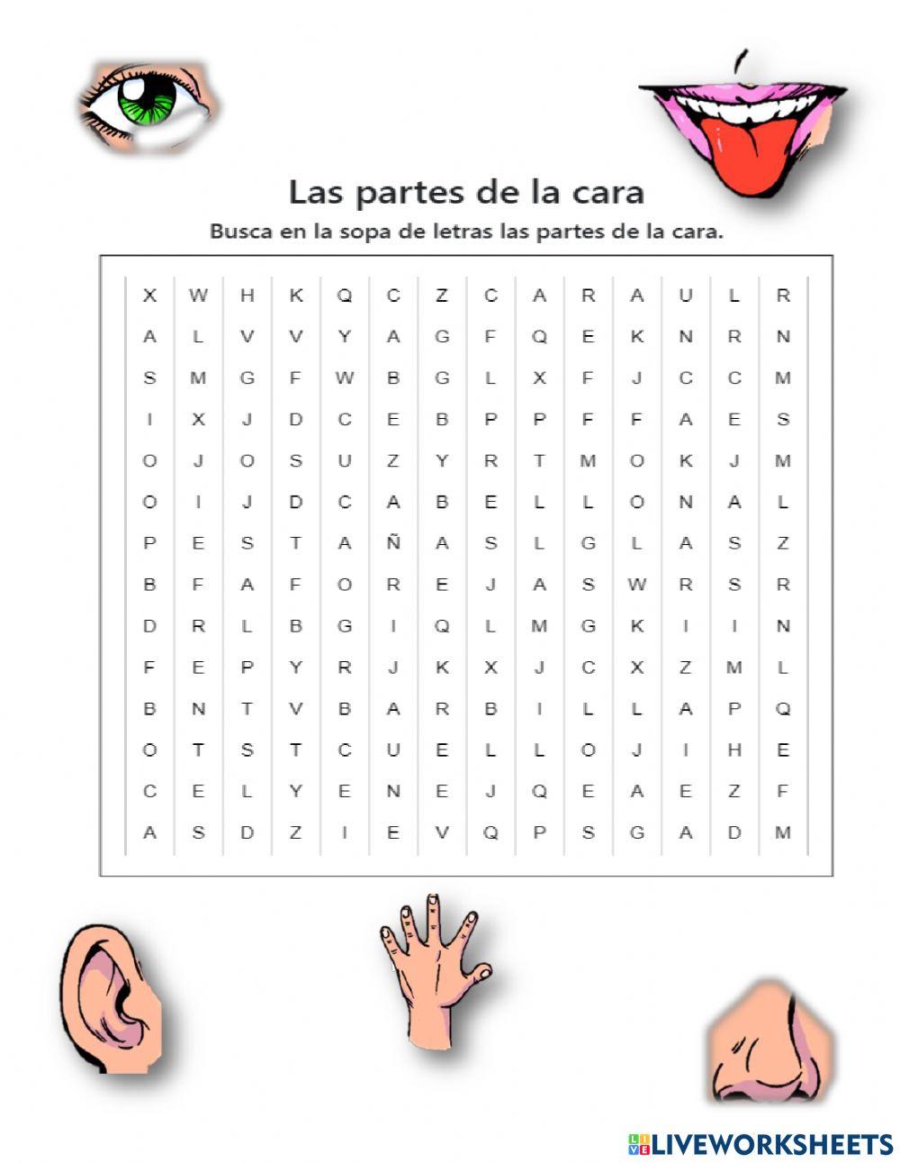 Partes de la cara Partes de la cara