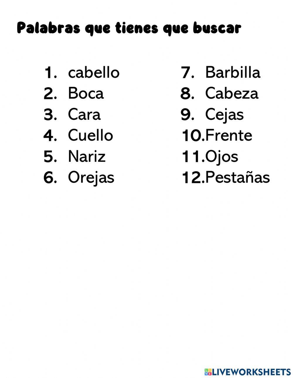 Partes de la cara Partes de la cara