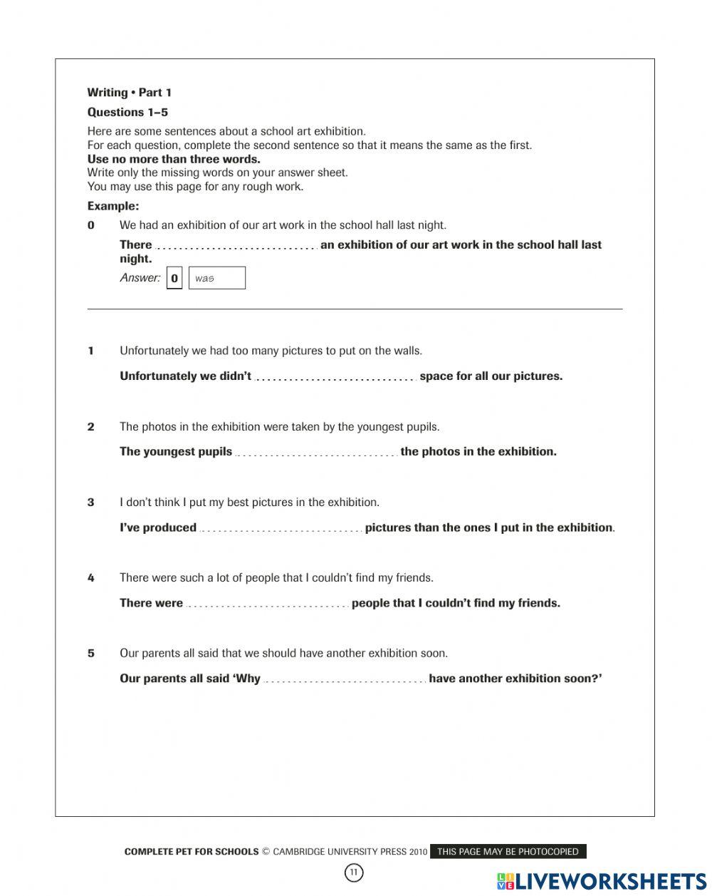Pet reading practice interactive worksheet live worksheets
