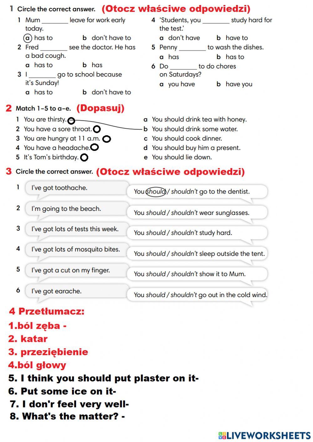 English Class A2 klasa 6 Grammar i Vocabulary