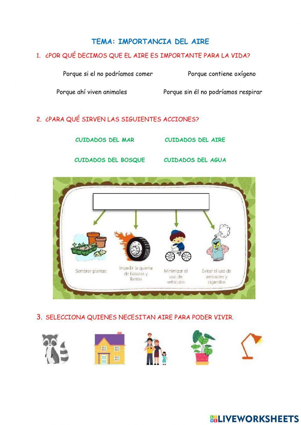 Importancia del Aire