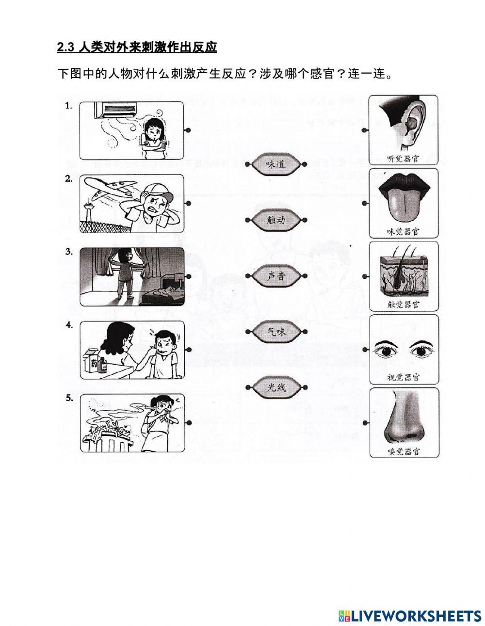 科学 四年级 单元二 2.2 2.3