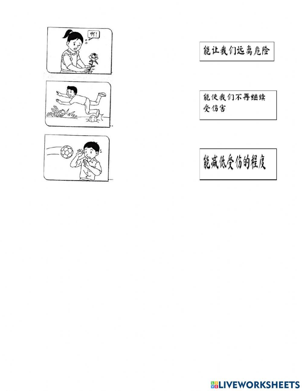 科学 四年级 单元二 2.2 2.3