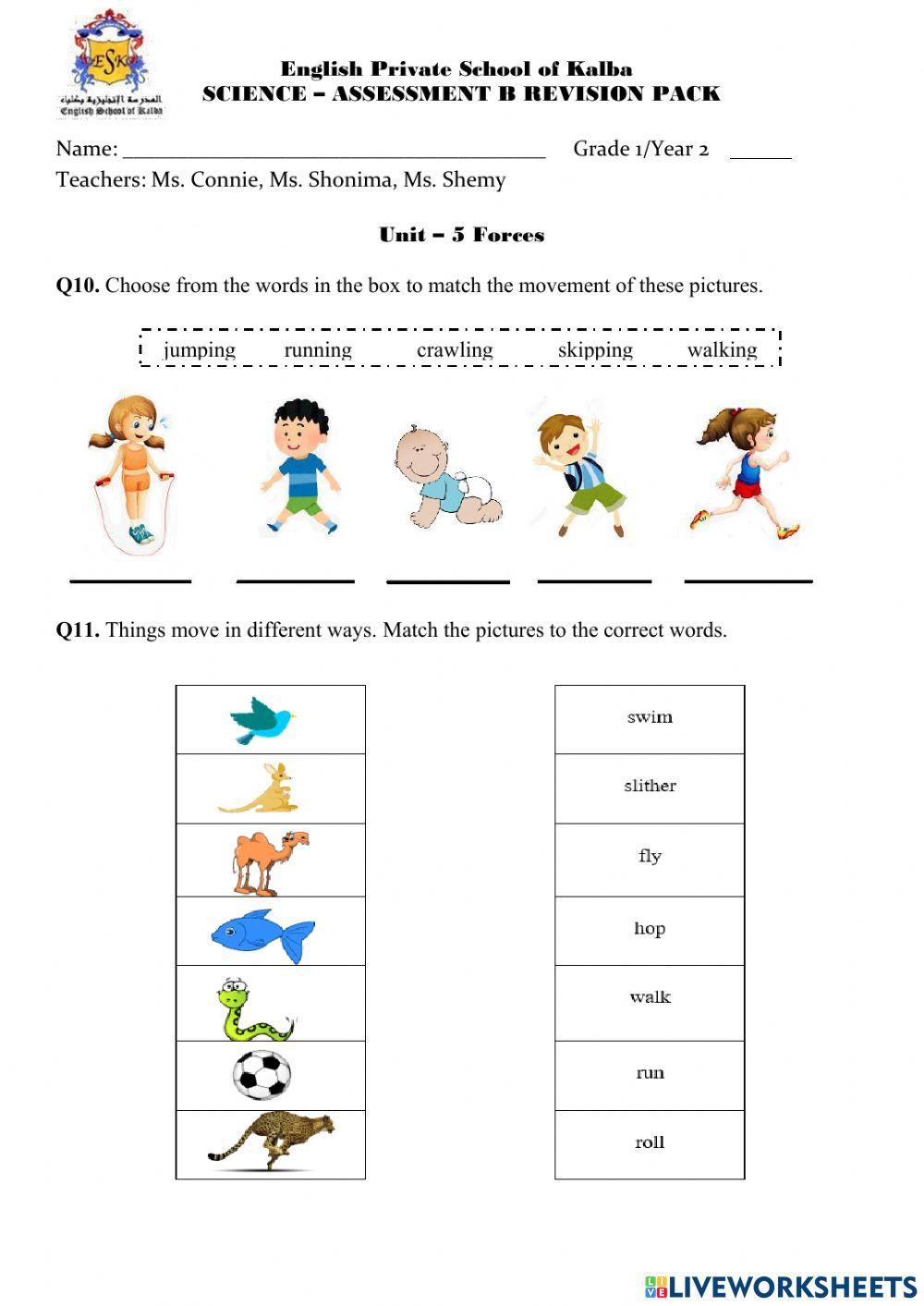 Revision Unit 5 Forces