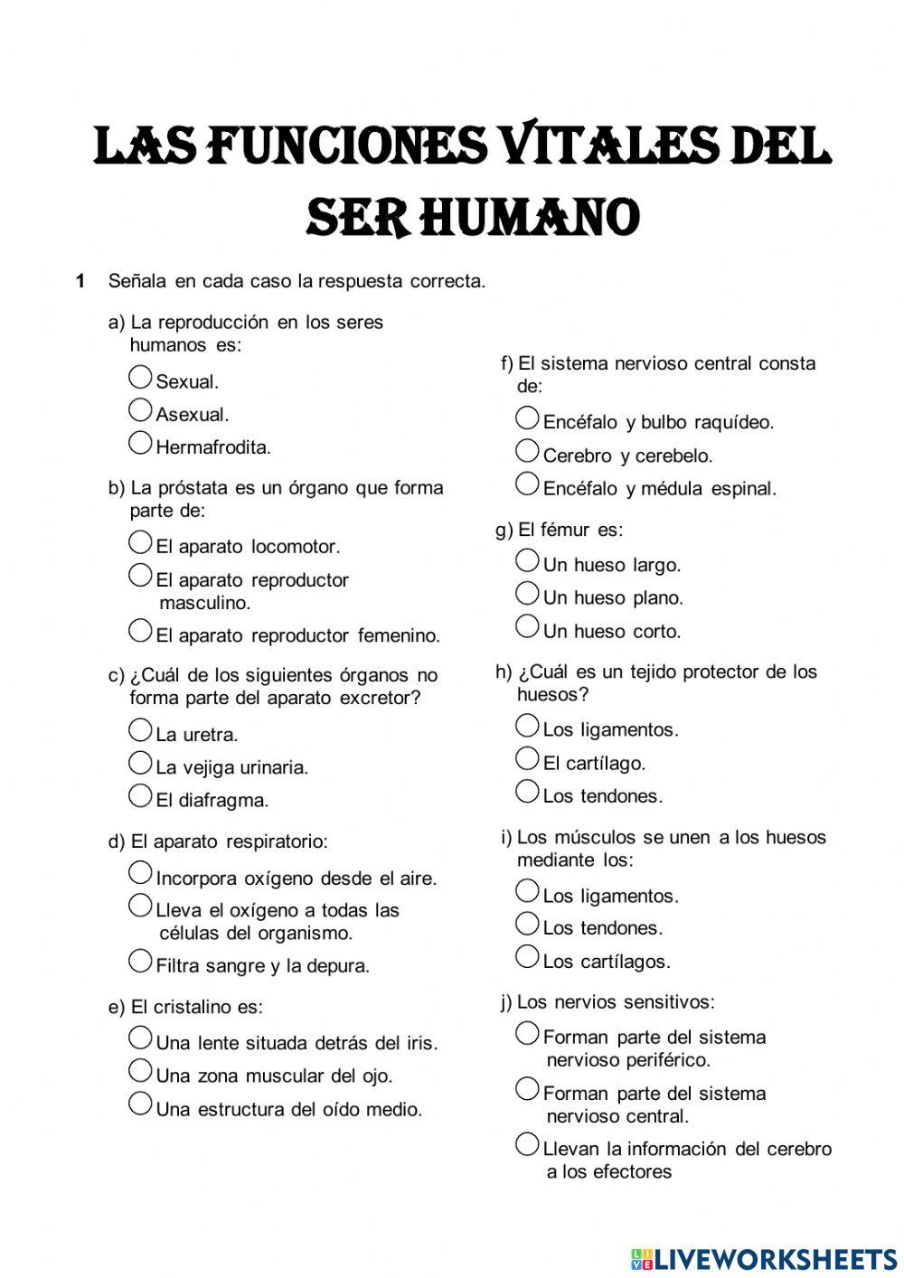 Ejercicios funciones motoras