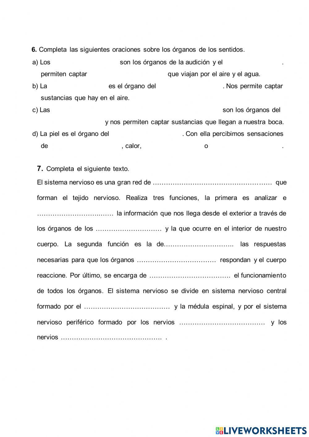 Ejercicios funciones motoras