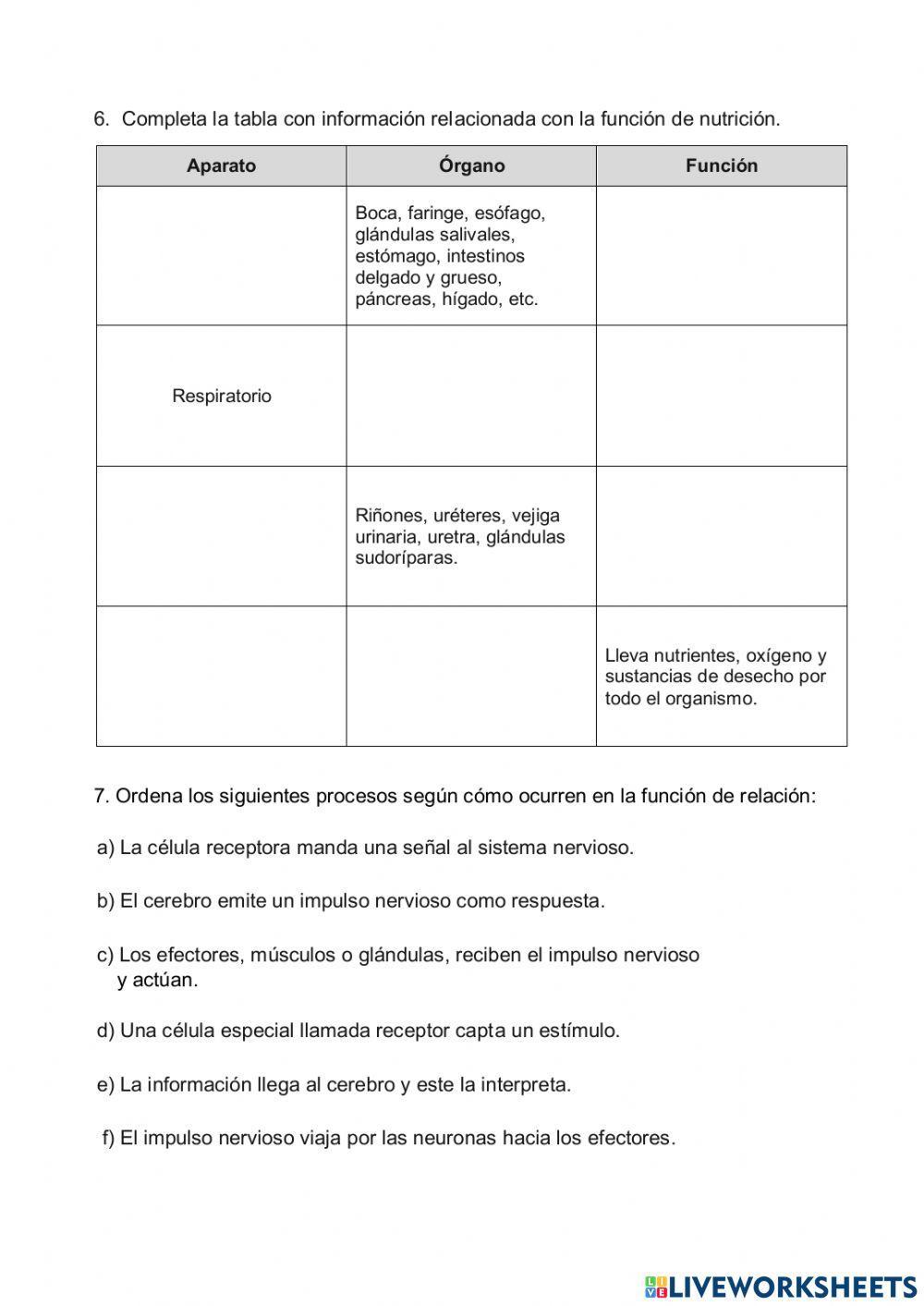 Ejercicios Funciones vitales del ser humano