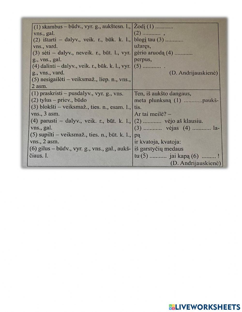 Morfologijos užduotys