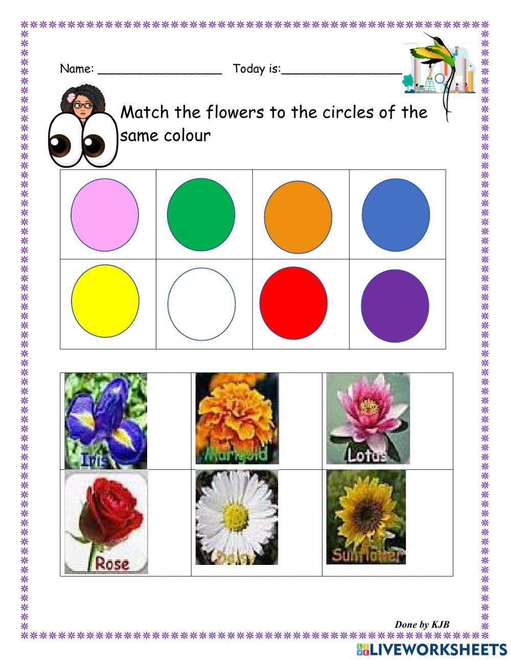Flowers Match worksheet Live Worksheets